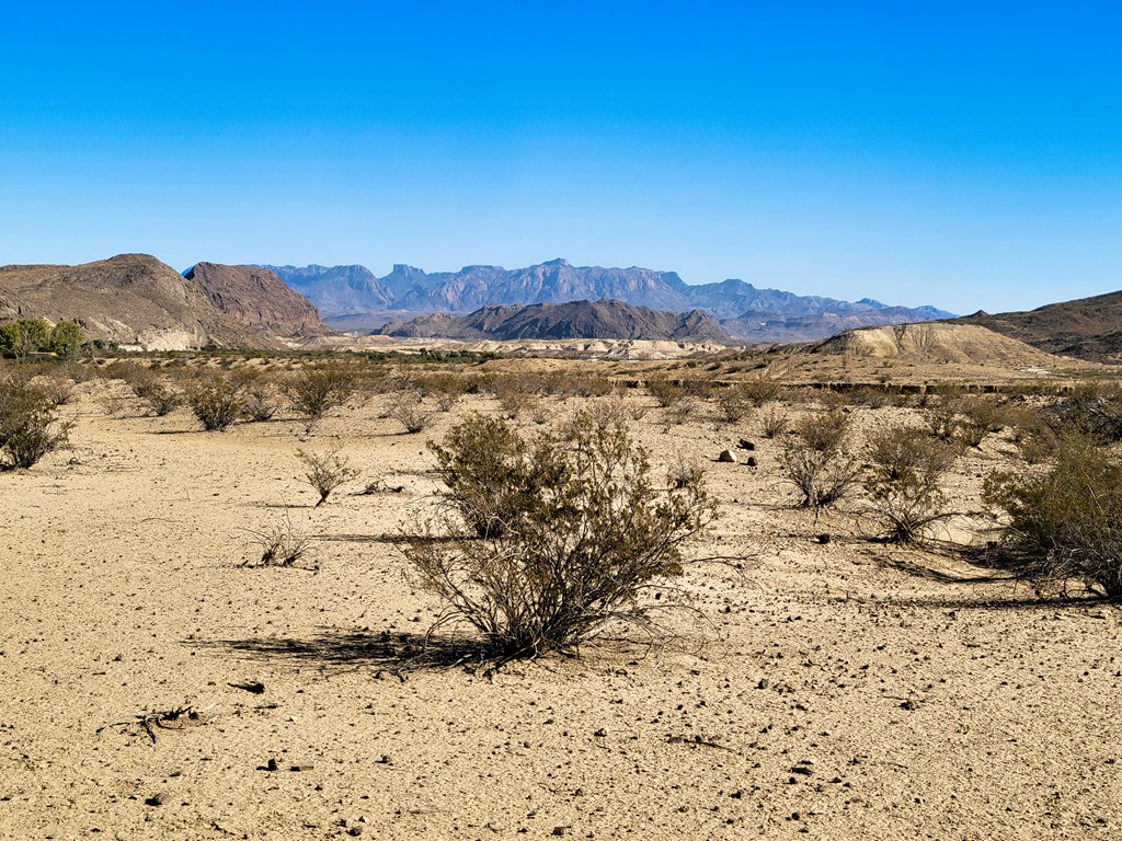 Land in Terlingua 3