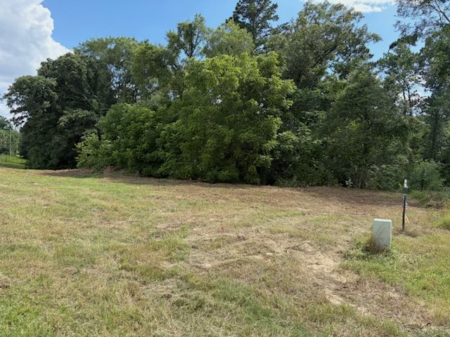Land in Diana 2