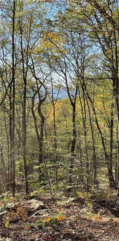 Taconic Mountain range looking West. | Image 3