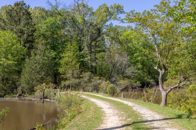 View of road with a forest view and a water view | Image 38