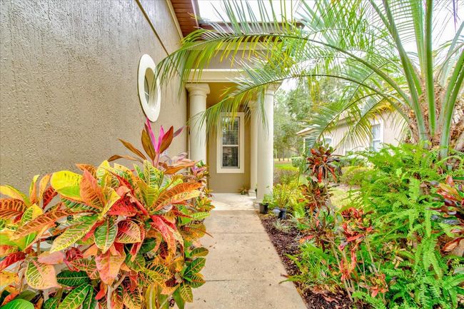 25921 San Rafael Ct, House other with 2 bedrooms, 2 bathrooms and null parking in HOWEY IN THE HILLS FL | Image 9