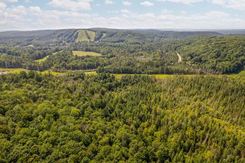 Parcels A & B Schuss Mountain Road, Custer Township, MI, 49659 | Card Image