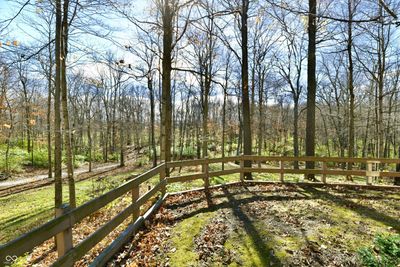 The property extends through the woods to Big Duck Creek. | Image 2