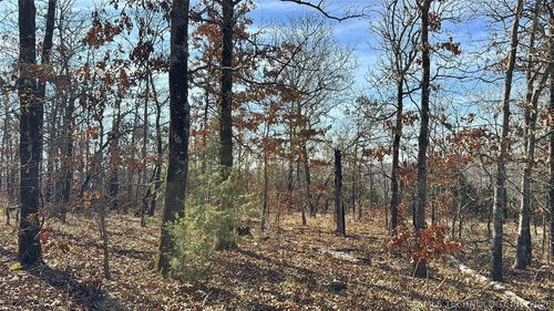 95001 S 4556 Rd, Vian, OK, 74962-4022 | Card Image