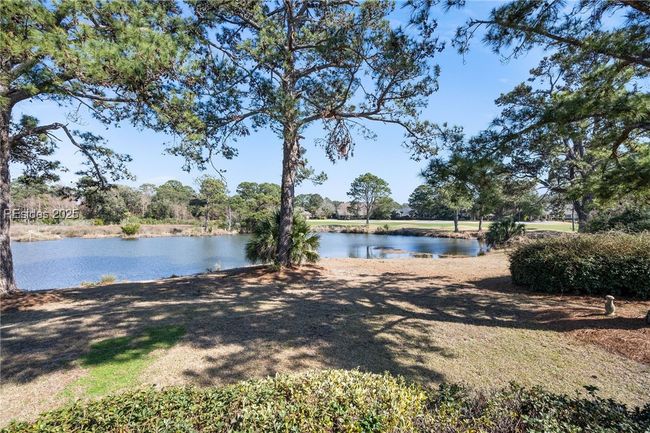 Brackish Lagoon | Image 56