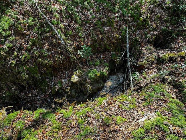 5 | Image 5