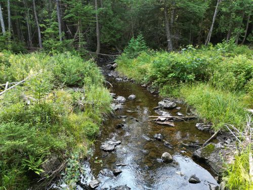 Lot 33-4 West Road, Springfield, ME, 04487 | Card Image