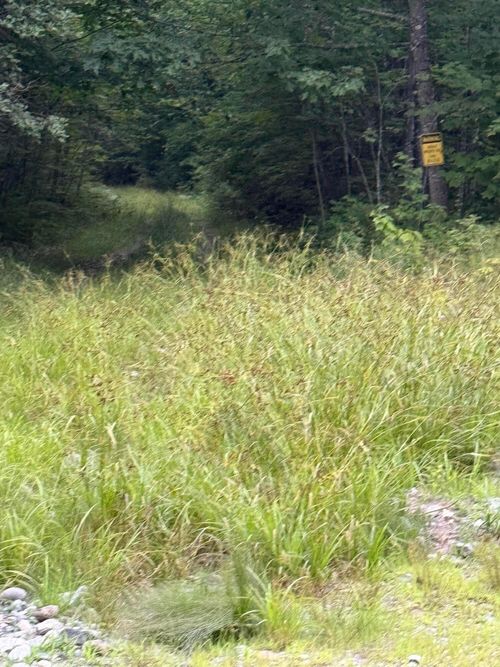 35 Messer Road, Moscow, ME, 04920 | Card Image