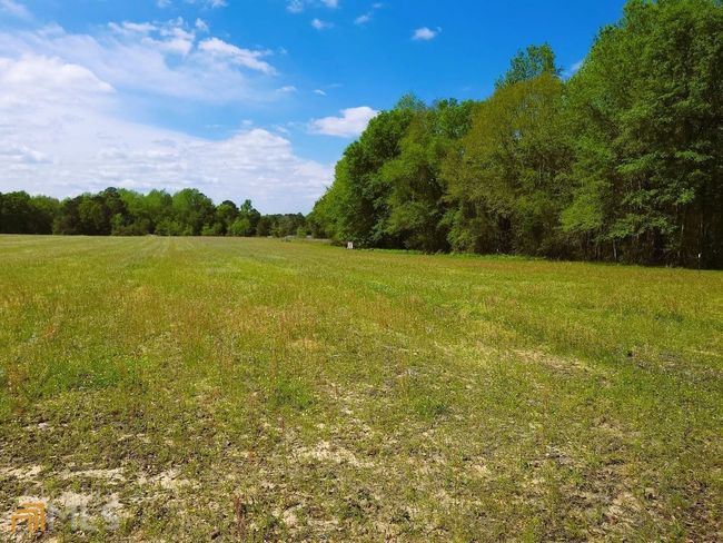 10519 Edenfield Rd, House other with 4 bedrooms, 2 bathrooms and null parking in Metter GA | Image 11
