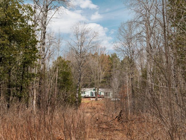 38-web-or-mls-A7405992 | Image 73