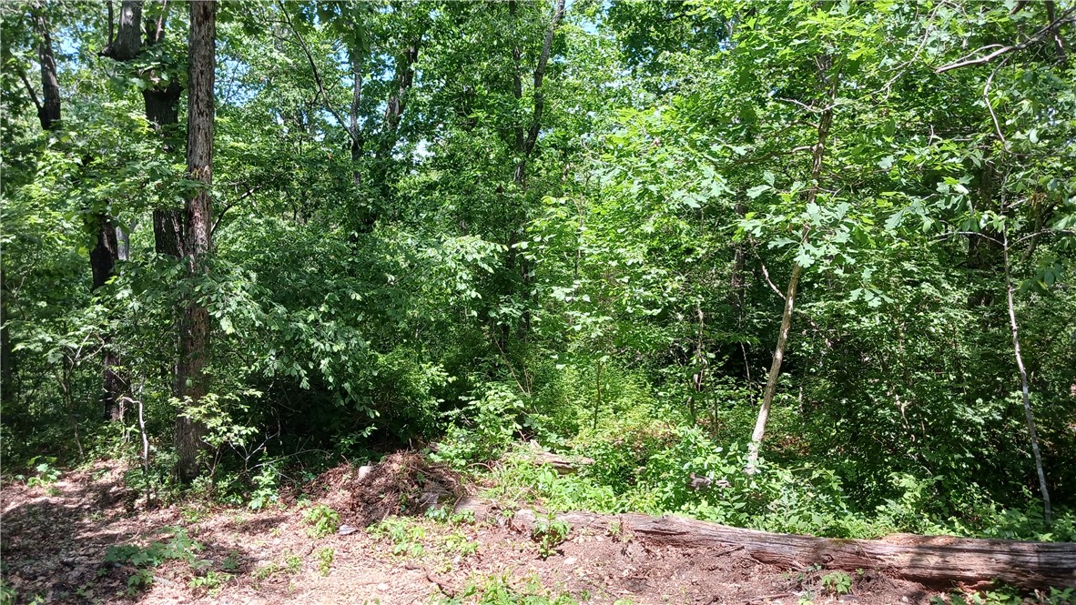 Land in Bella Vista 3