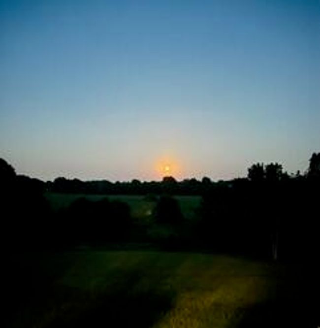 IMG_0648 | Image 65