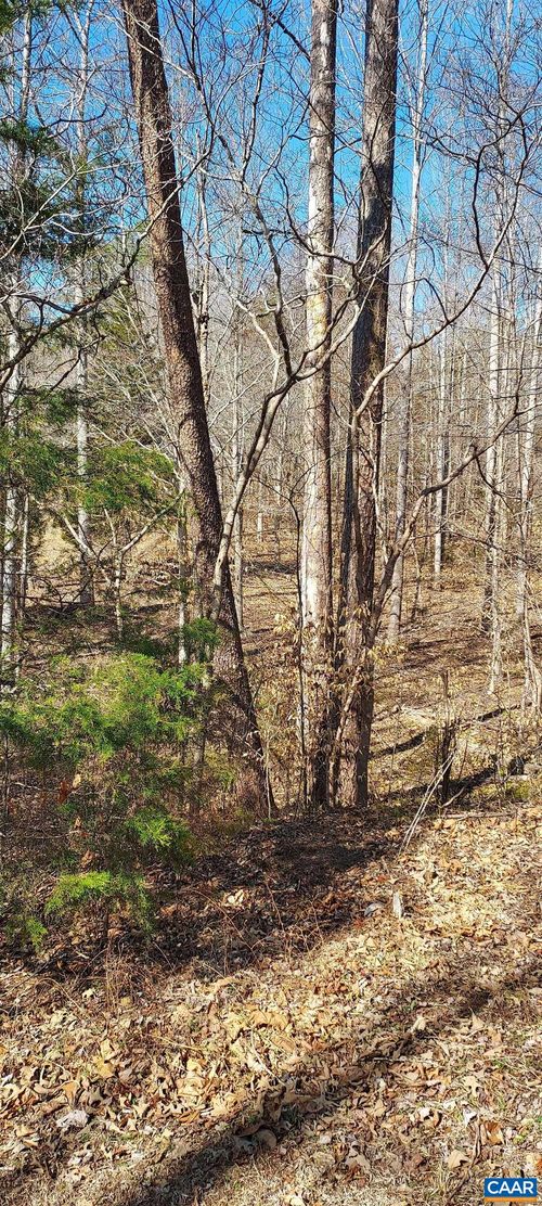 460 Jefferson, PALMYRA, VA, 22963 | Card Image