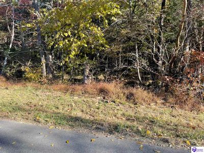 Tract 9 Little Clifty Road, Home with 0 bedrooms, 0 bathrooms and null parking in Big Clifty KY | Image 1