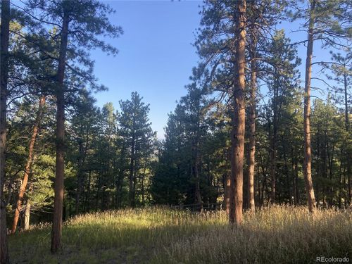 4393 Pima Rd, Indian Hills, CO, 80454-5125 | Card Image