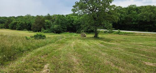 337 Washington Rd, Shell Knob, MO, 65747-9168 | Card Image