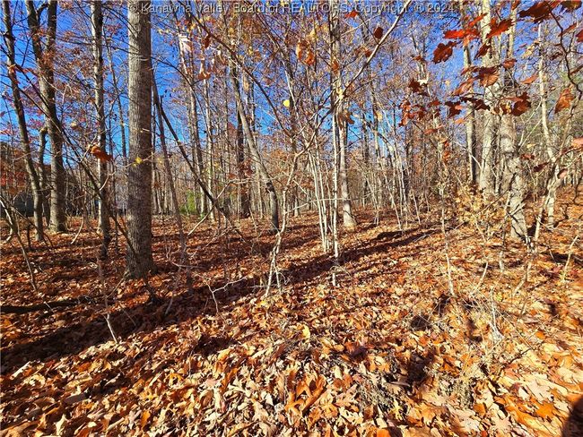 101 Chantry Ln, Home with 0 bedrooms, 0 bathrooms and null parking in Daniels WV | Image 15