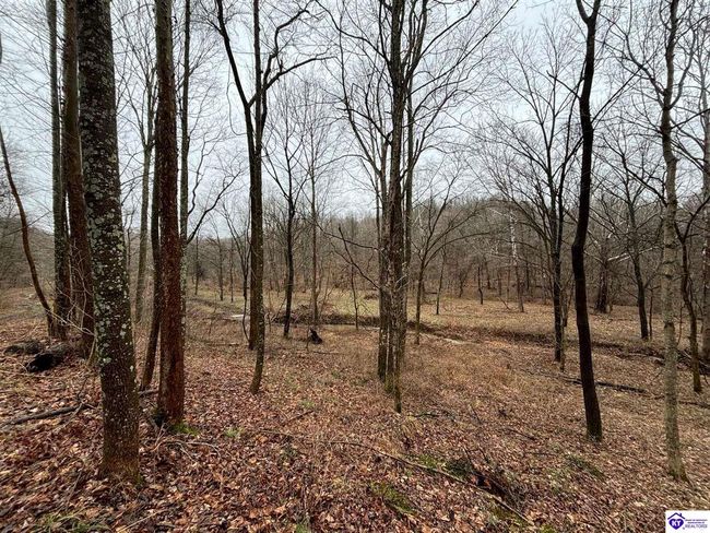 627 New State Rd, Home with 0 bedrooms, 0 bathrooms and null parking in Webster KY | Image 16