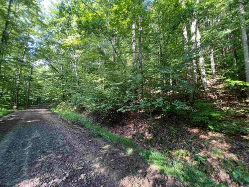 TBD Fallen Timber Road, Ireland, WV, 26376 | Card Image