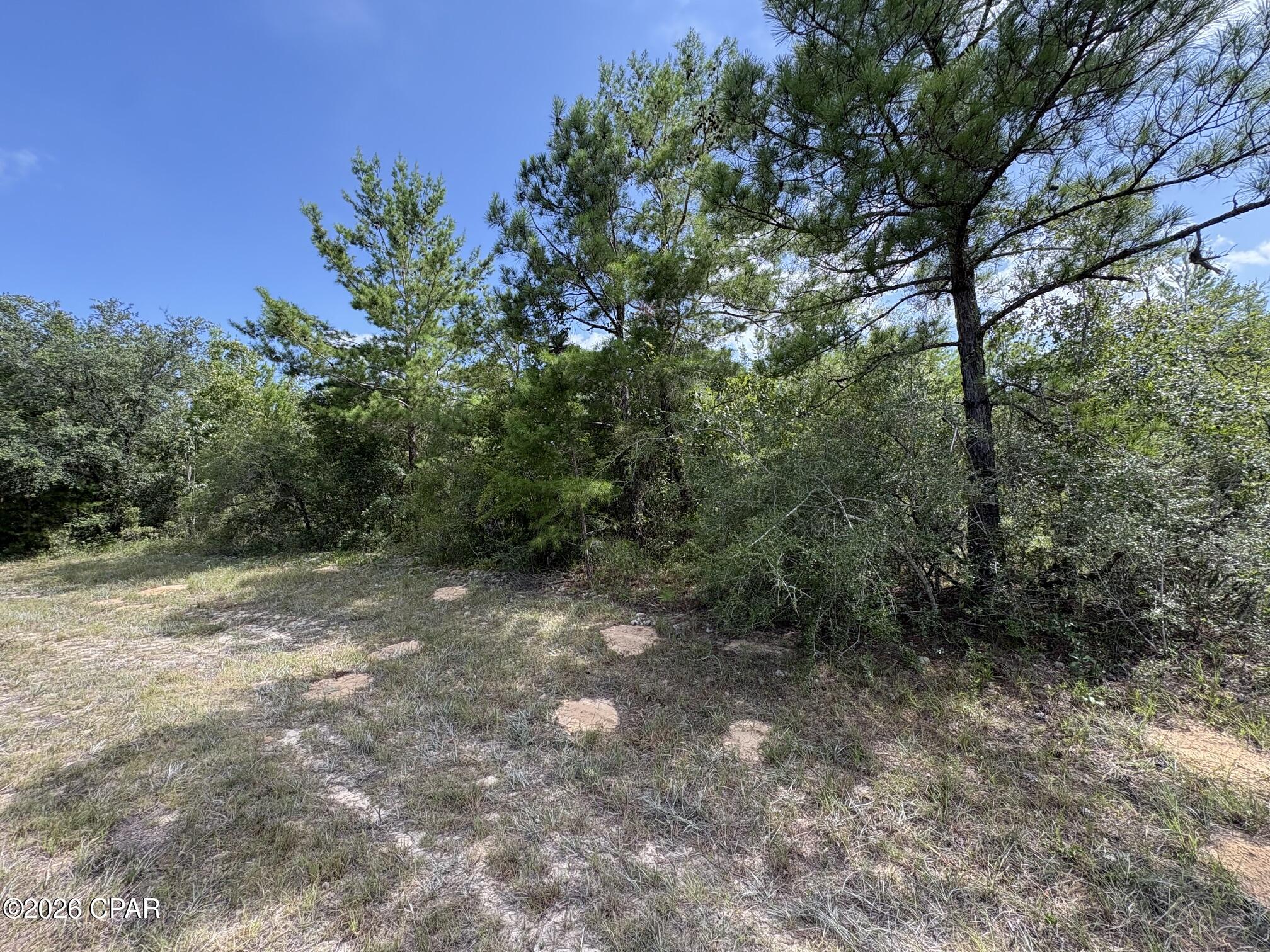Land in Chipley 3
