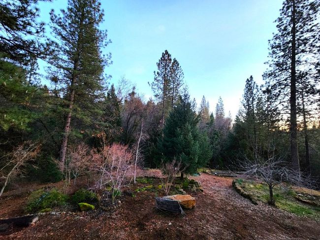 955 Grinding Rock Ct, House other with 3 bedrooms, 2 bathrooms and null parking in West Point CA | Image 52