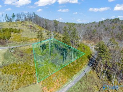 Lot 50 Fall Creek Drive, Home with 0 bedrooms, 0 bathrooms and null parking in Guntersville AL | Image 1