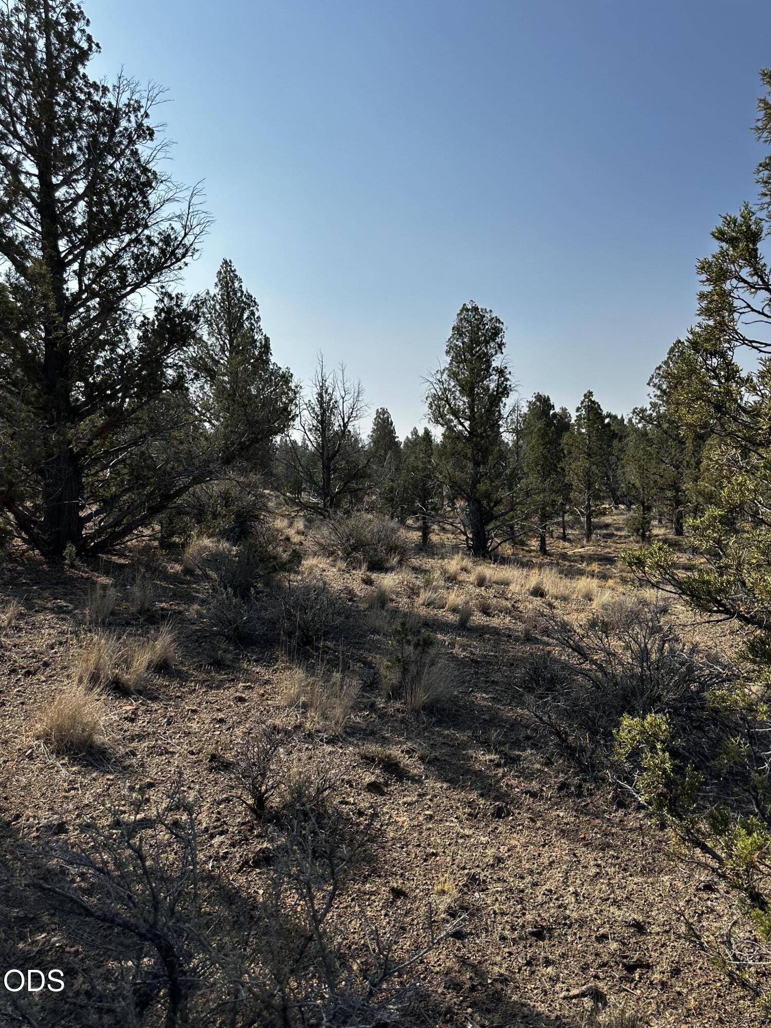 Land in Prineville 5