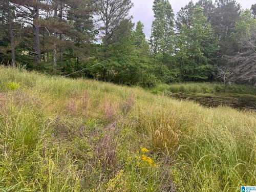 0-0 Busby Cutoff Rd, Nauvoo, AL, 35578 | Card Image