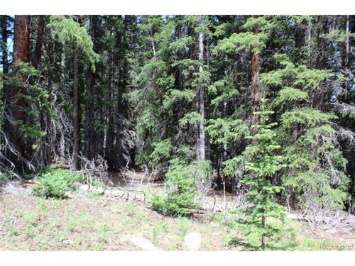 13 Lamartine Rd, Idaho Springs, CO, 80452 | Card Image