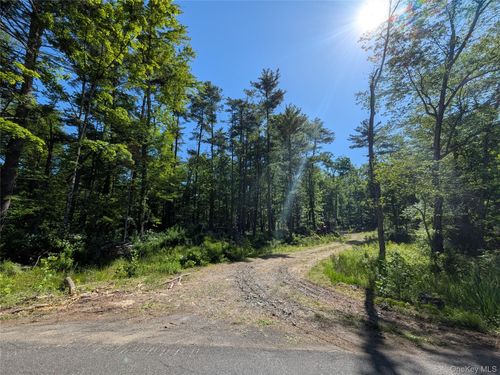 856 Berme Rd, High Falls, NY, 12440-5505 | Card Image