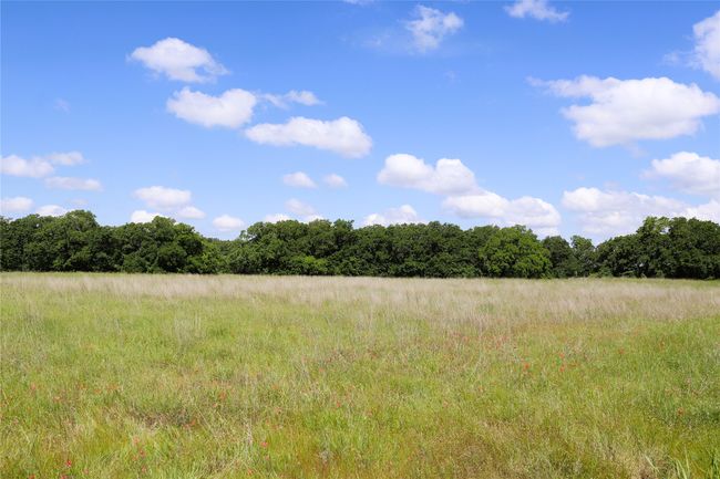 20 N Carroll St, Home with 0 bedrooms, 0 bathrooms and null parking in Henrietta TX | Image 9