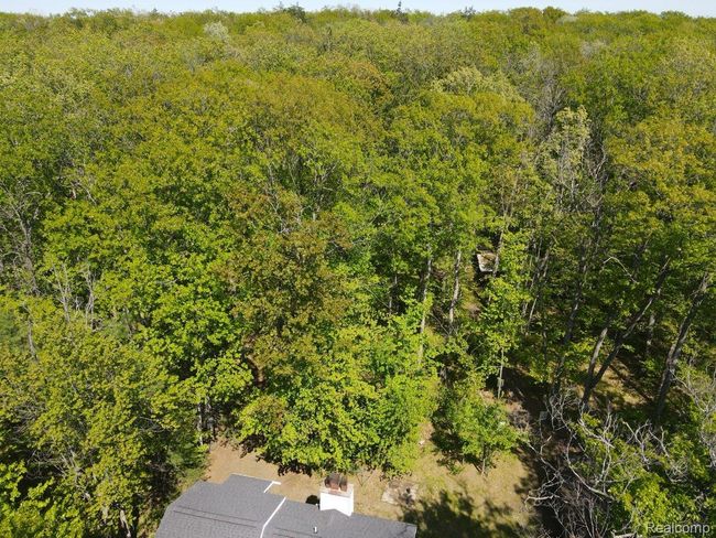 Hard wood trees behind the house with trails throughout. | Image 58