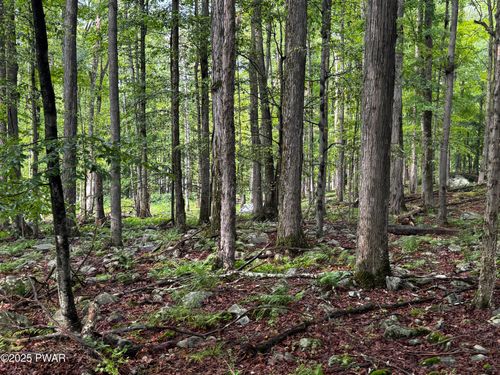 103 Elm Ln, Greentown, PA, 18426-7403 | Card Image