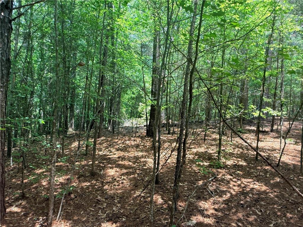 Land in Snellville 5