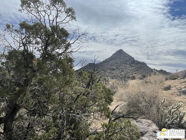 0 Desert Calico, Home with 0 bedrooms, 0 bathrooms and null parking in Mountain Center CA | Image 29