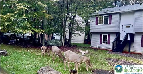 8440 Bear Trail Dr, Tobyhanna, PA, 18466-3447 | Card Image