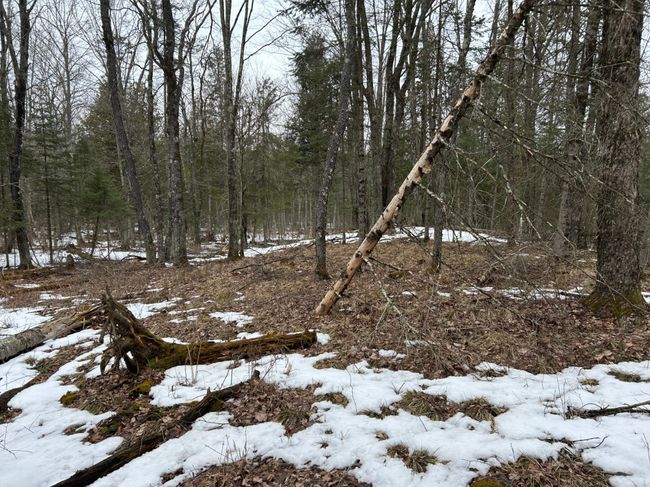 743 Woodlawn Rd, House other with 2 bedrooms, 1 bathrooms and null parking in Pickerel WI | Image 68