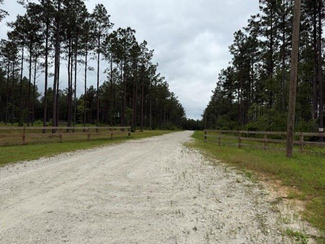 00 Richardson Rd E, Home with 0 bedrooms, 0 bathrooms and null parking in Livingston TX | Image 5