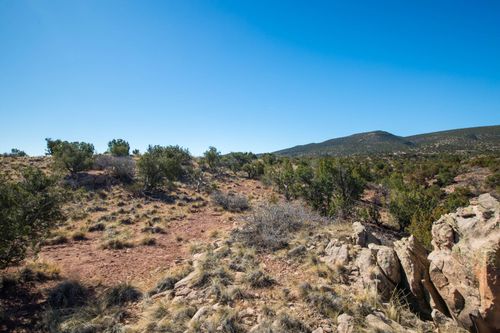 234 N Wild Primrose, Placitas, NM, 87043 | Card Image