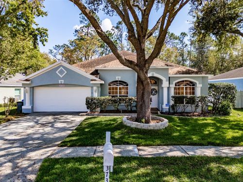 3732 Hollow Wood Dr, VALRICO, FL, 33596-6356 | Card Image