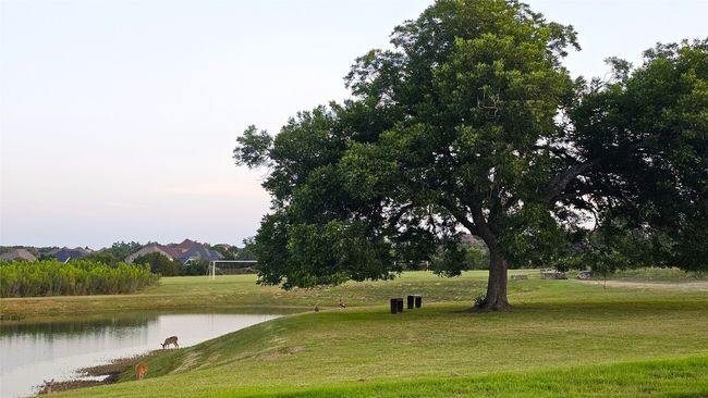 Surrounding community with a water view and a lawn | Image 38
