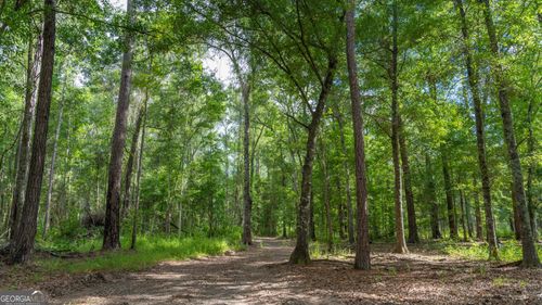 0 Cal Thomas Rd, Whigham, GA, 39897 | Card Image