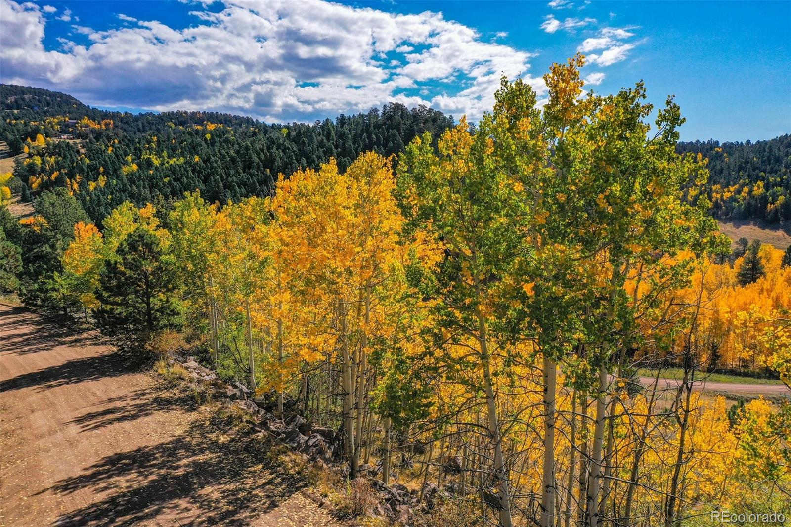 Land in Cripple Creek