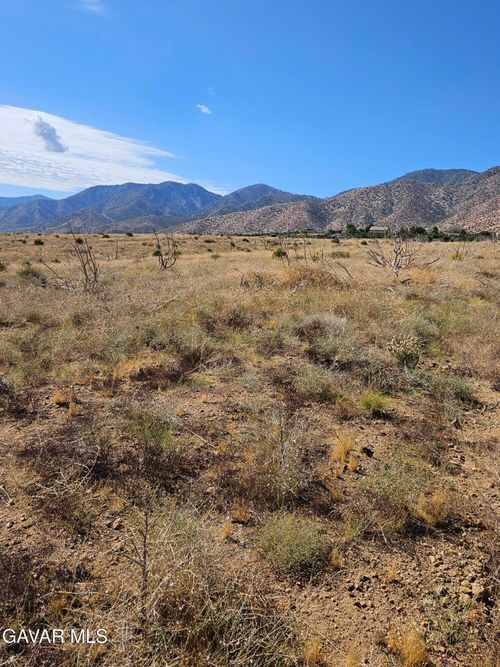 116 Tumbleweed Rd, Juniper Hills, CA, 93543 | Card Image