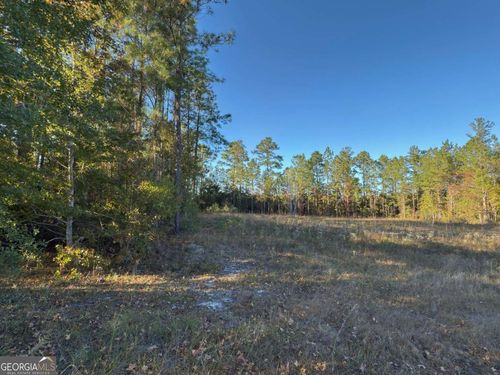 LOT 1 Wildwood Country Estates/Thoroughbred Road, Woodbine, GA, 31569 | Card Image