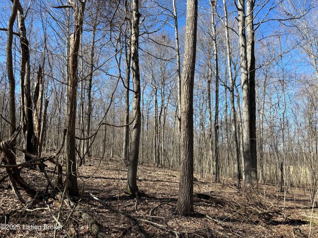 2701 Hardesty Raymond Rd, Home with 0 bedrooms, 0 bathrooms and null parking in Webster KY | Image 19