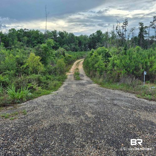 0 County Road 35, Evergreen, AL, 36401 | Card Image