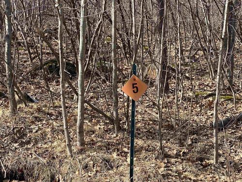 Lot 5 Acorn Ridge Road, Mosinee, WI, 54455 | Card Image