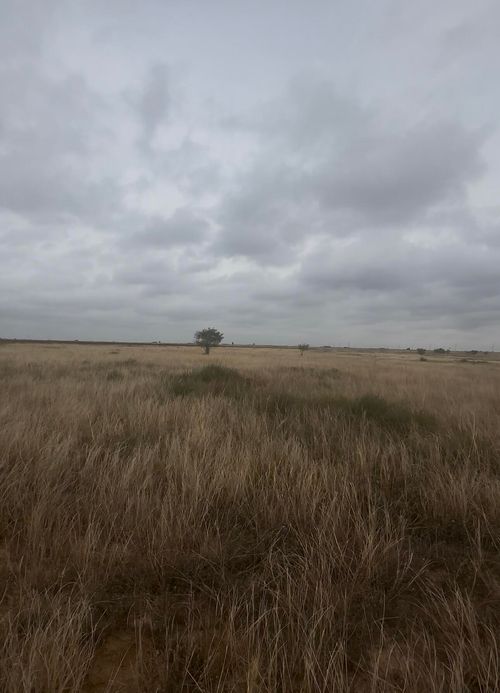 2308 E County Road 5100, Abernathy, TX, 79311-2018 | Card Image