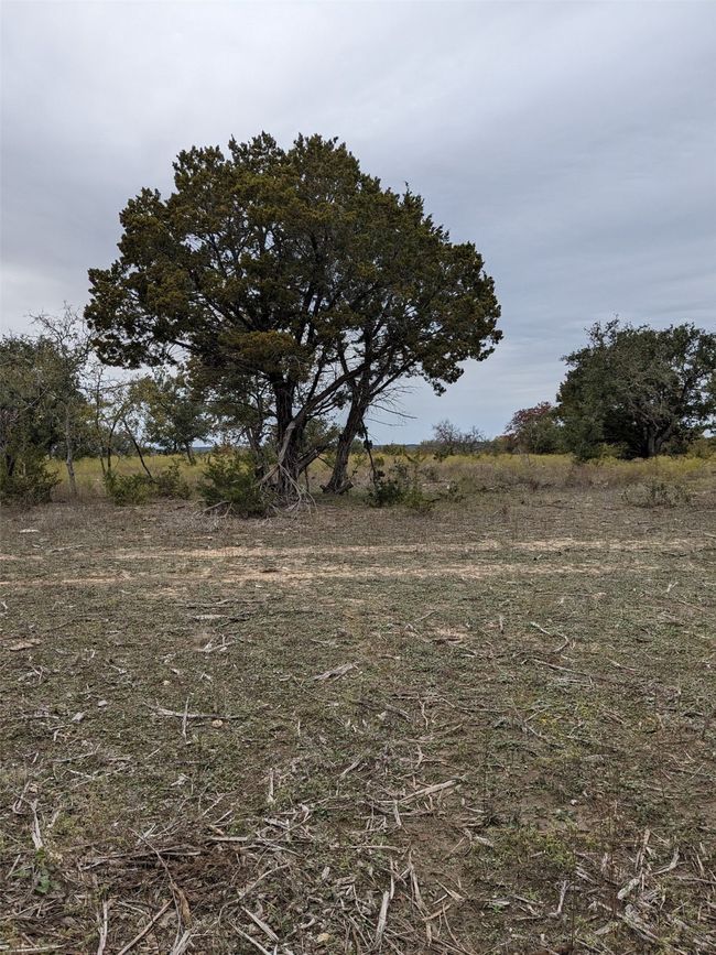 1314 County Road 127, Home with 0 bedrooms, 0 bathrooms and null parking in Carlton TX | Image 15